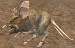 Wump-Ratte-1
